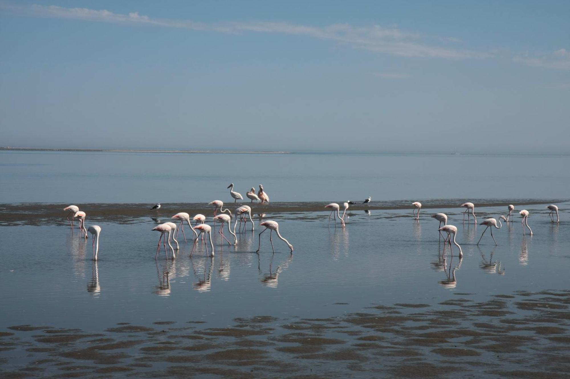 Lagoon Lodge Уолфиш-Бей Экстерьер фото